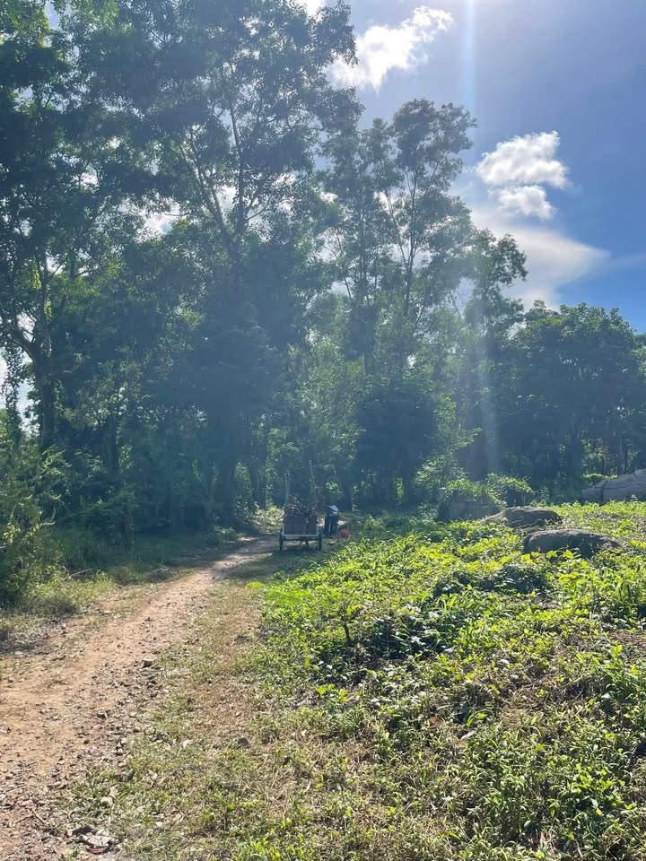 Đất núi Tịnh Biên An Giang 9000m² giá 199 triệu - View đẹp mát mẻ cho nghỉ dưỡng!