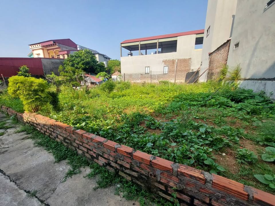 Đất nền siêu rộng 400m² tại Phú Hữu, Mê Linh - Giá chỉ 30 triệu/m²!