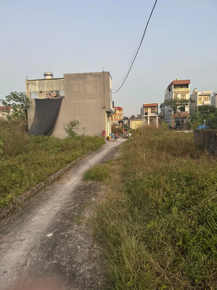 Đất thổ cư Quang Minh, Mê Linh 50m² - Nở hậu đẹp, sổ hồng chính chủ!