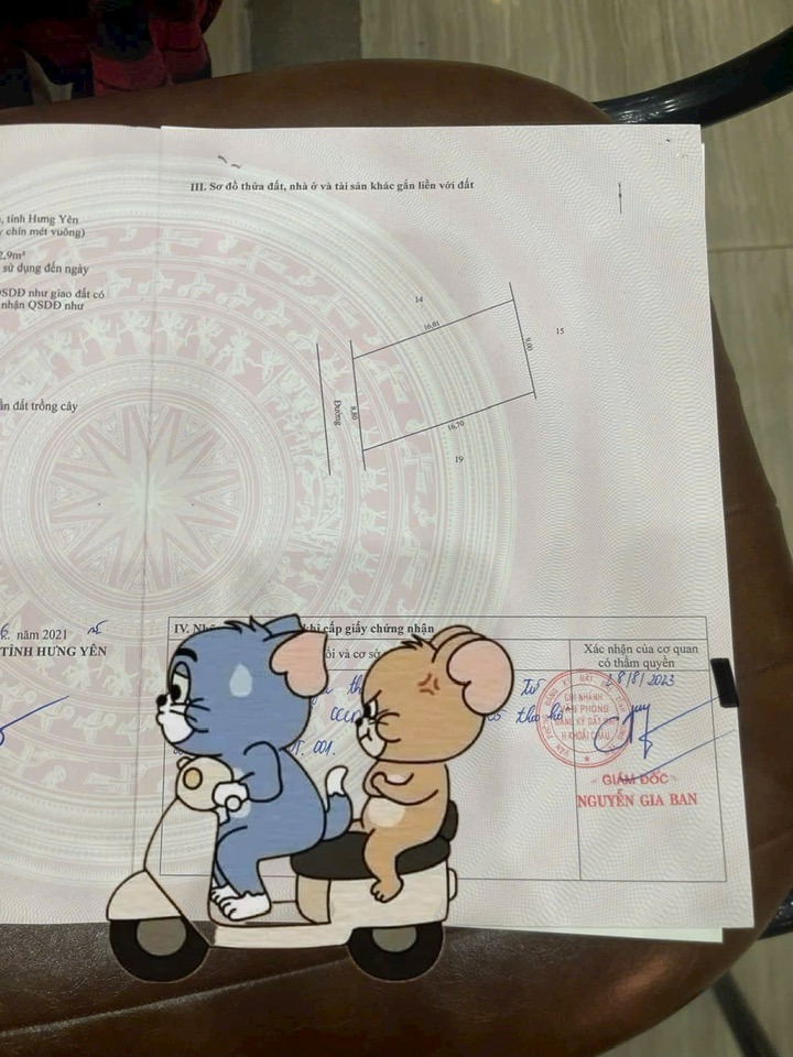 Đất nền 142m² tại xã Hoàn Long, Hưng Yên chỉ từ 30 triệu/m² - Cơ hội đầu tư hấp dẫn!