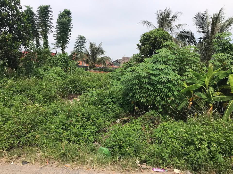 Đất nền 125m² tại Ấp Mới 1, Hóc Môn chỉ 1.4 tỷ - Cơ hội đầu tư lý tưởng!