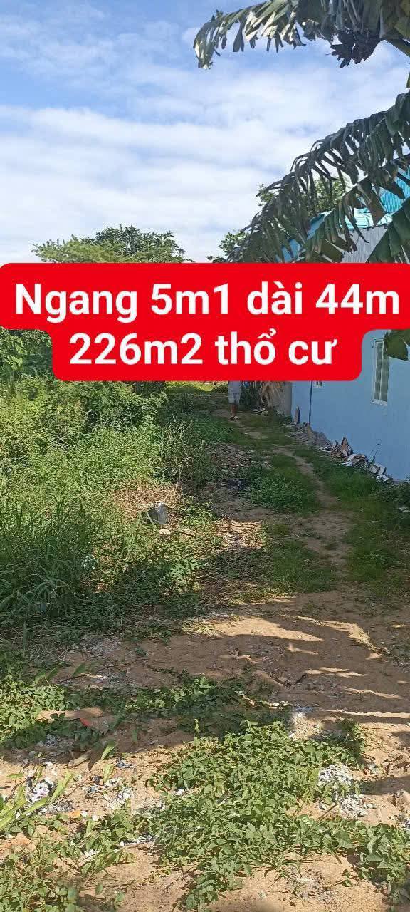 Đất thổ cư mặt tiền đường ấp chiến lược 226m² giá 500 triệu - Đầu tư sinh lời ngay!