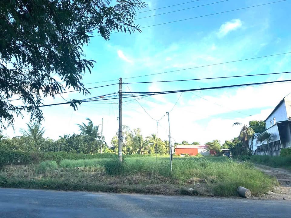 Đất thổ cư và cây lâu năm 4.127m² tại Mỹ Thới, An Giang - Đầu tư sinh lời ngay!