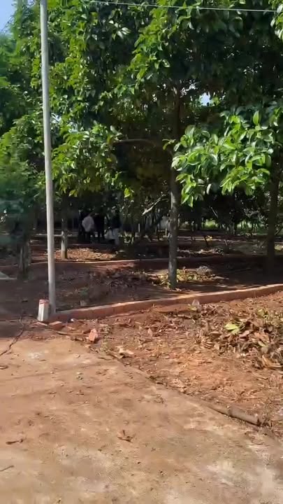 Đất nền Bình Lộc, Long Khánh 145m² giá 980 triệu - Cơ hội đầu tư tuyệt vời!