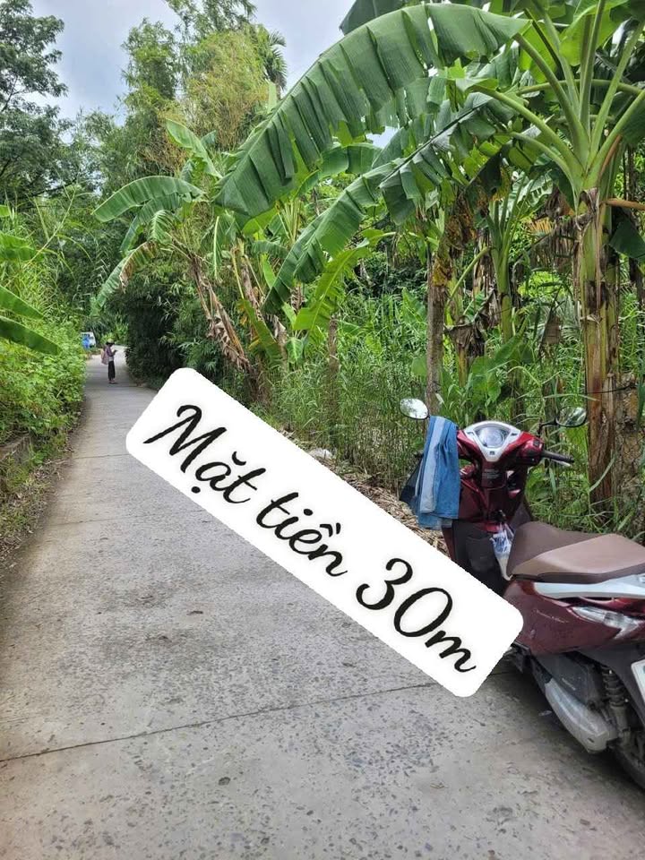 Đất nền 4615m² đường 925B, Đông Phước, Hậu Giang - Giá chỉ 2.72 tỷ!