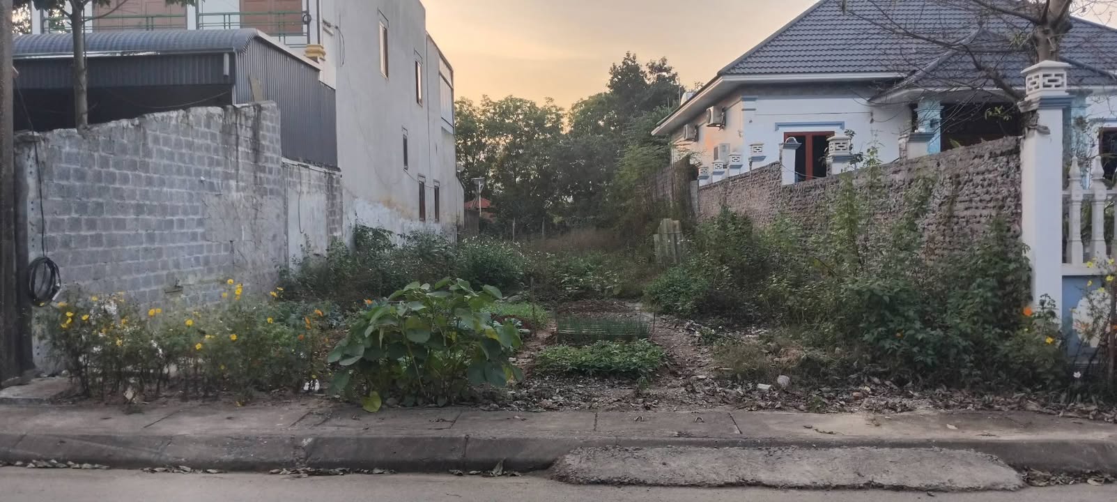 Đất nền chính chủ Hòa Sơn 433m² giá 4.33 tỷ - Cơ hội đầu tư tuyệt vời!