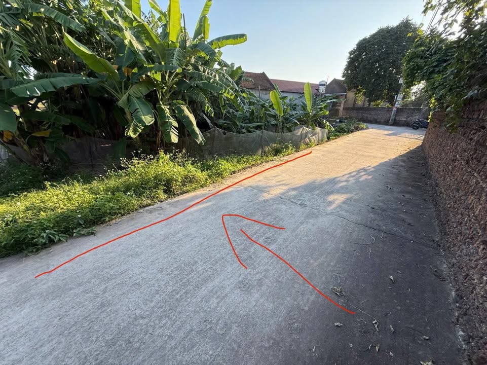 Đất Đoan Bái Hiệp Hòa 147m² giá chỉ 600 triệu - Cơ hội đầu tư hấp dẫn!