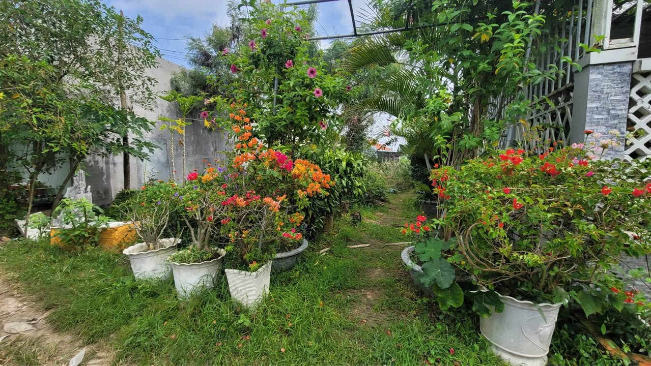 Đất nền Phong Nẫm 200m² giá 900 triệu - Sổ hồng chính chủ sẵn sàng giao dịch!