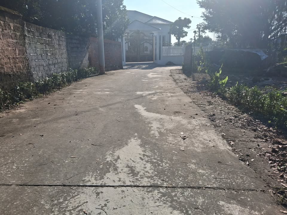 Đất nền Đạo Tú Tam Dương 100m² giá 800 triệu - Đường 2 xe tránh nhau