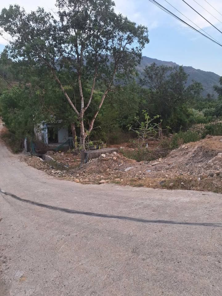 Đất QH 3 mặt tiền Tỉnh Lộ 3 Phước Đồng 2084m² giá 15 tỷ - Cơ hội đầu tư hấp dẫn!