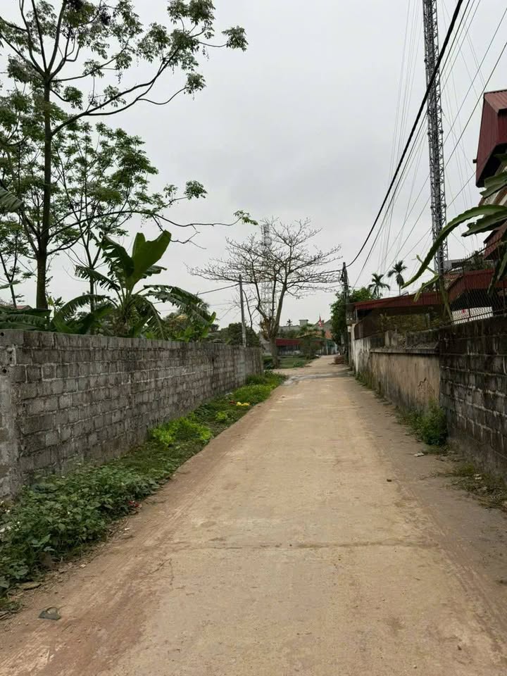 Đất nền 203m² đường Nguyễn Trãi, Ân Thi chỉ 1.1 tỷ - Đầu tư sinh lời ngay!