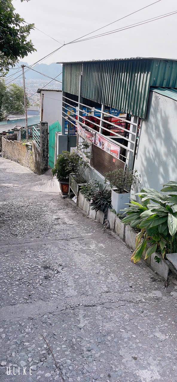 Nhà cấp 4 Cẩm Tây 160m² giá chỉ 390 triệu - Cơ hội sở hữu ngay!