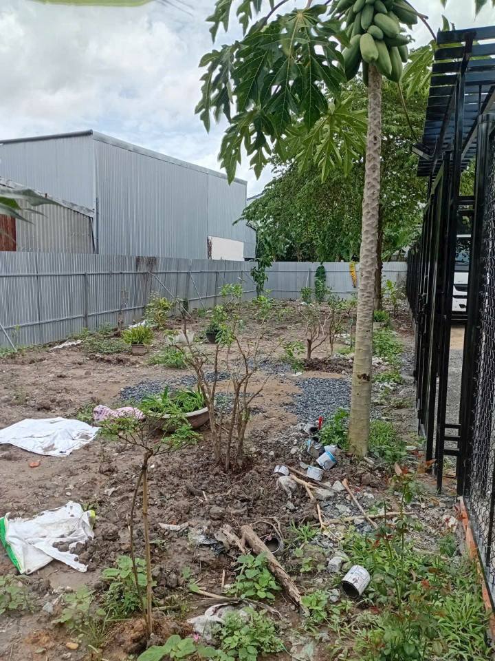 Đất nền 240m² tại Kênh Rạch Giá, Thoại Sơn - Giá chỉ 1 tỷ!