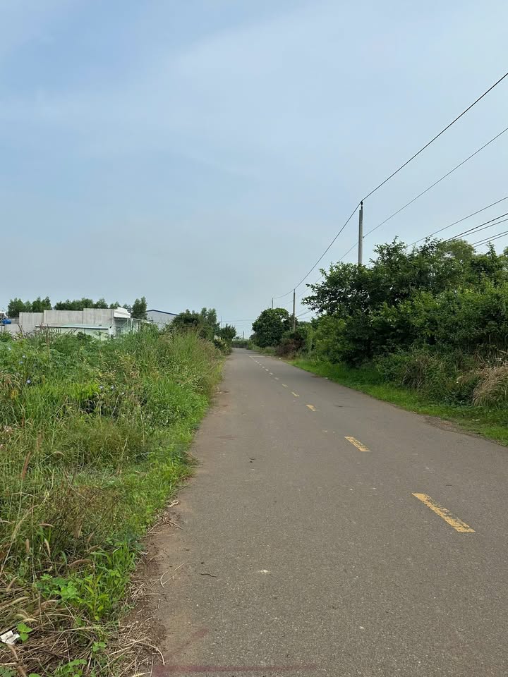 Đất nền Long Tân Đất Đỏ 140m² giá 790 triệu - Sổ riêng chính chủ!