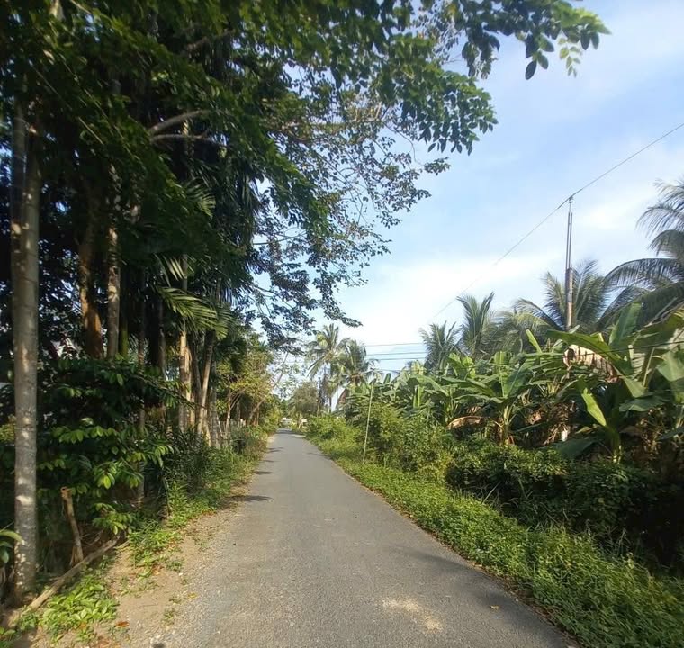 Đất nền 16.500m² tại Trà Côn, Vĩnh Long - Đường xe tải 5 tấn vào tận nơi!