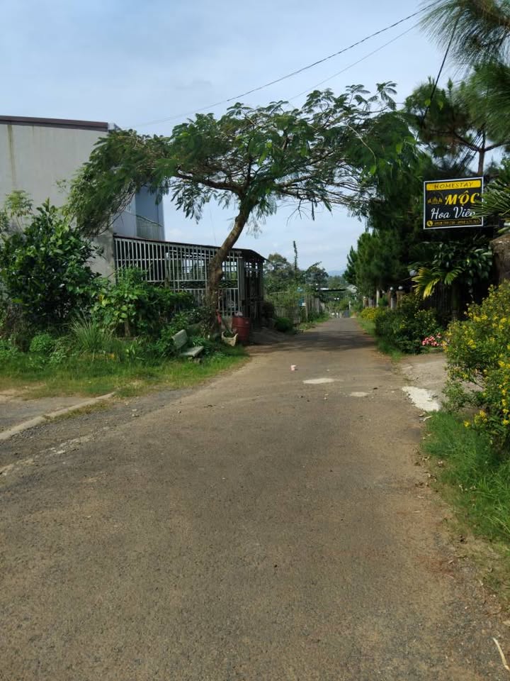 Đất nền đường Chi Lăng, Lộc Sơn 350m² giá 2.5 tỷ - Cơ hội đầu tư hấp dẫn!