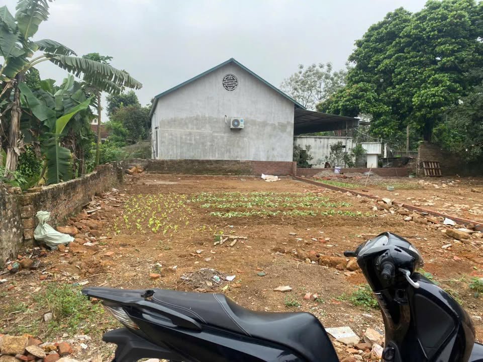 Đất nền Phú Cát Quốc Oai 140m² giá 2.8 tỷ - Mặt tiền 8.5m phong thủy