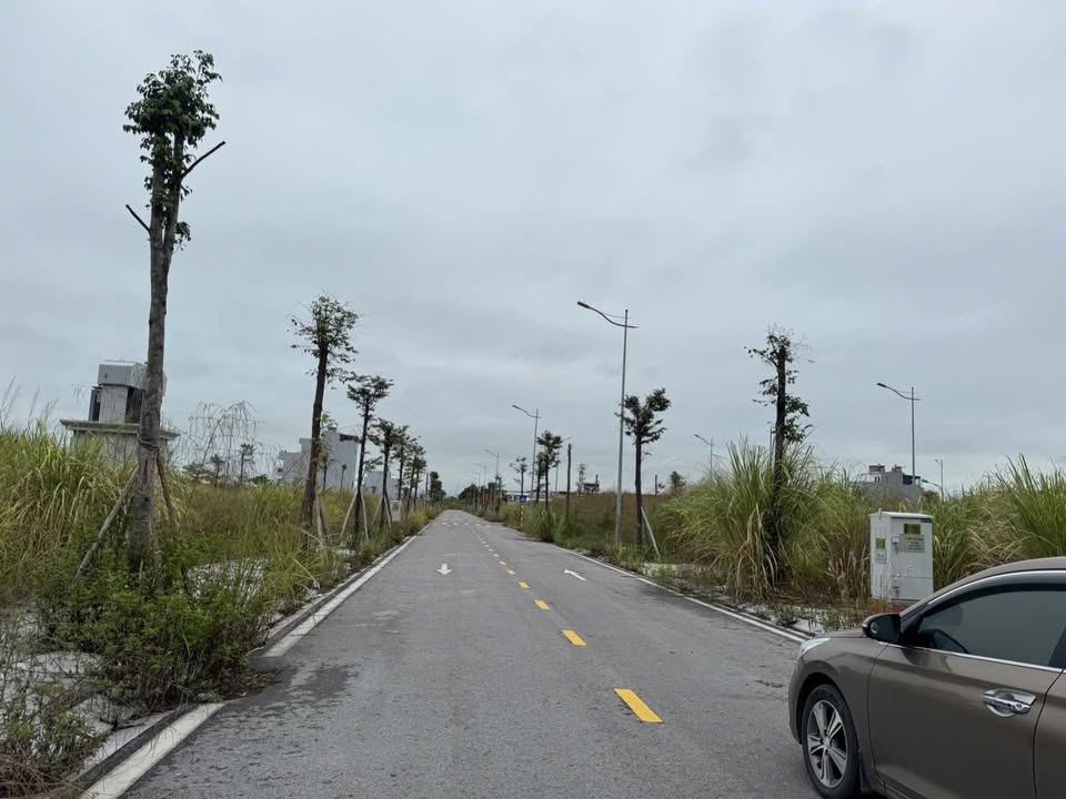 Đất nền phường Hà Khẩu, Hạ Long 75m² giá chỉ 2 tỷ - Sổ đỏ sang tên ngay!