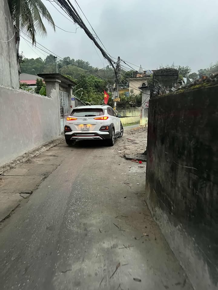 Đất nền Ngõ 10 Cao Xanh Hạ Long 52m² - Ô tô vào tận nơi!