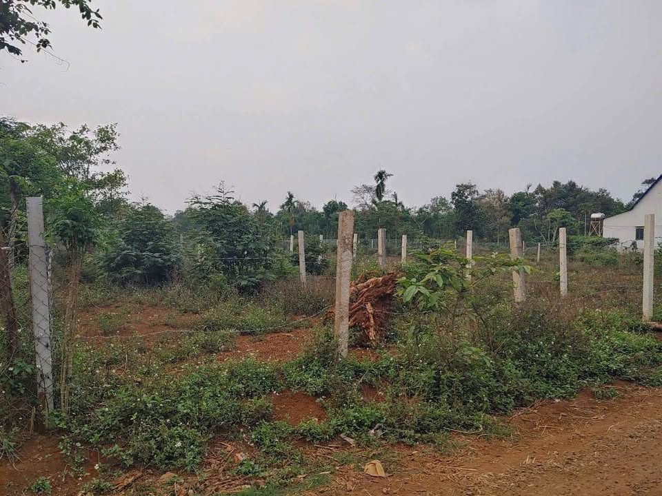 Đất thổ cư Cuôr Đăng, Cư M'gar 125m² giá 530 triệu - Sổ đỏ chính chủ!