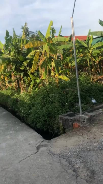 Đất nền Quỳnh Mỹ 285m² - Gần trường học, giá thỏa thuận hấp dẫn!