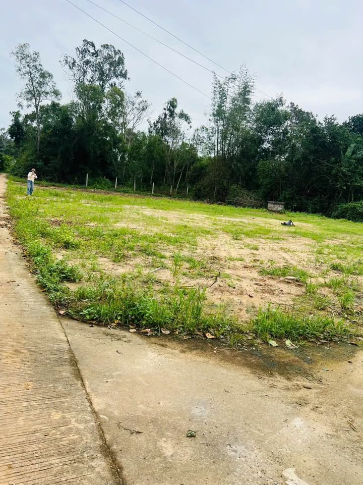 Đất vườn 902m² tại Long Phụng, Mộ Đức - Giá chỉ 980 triệu!