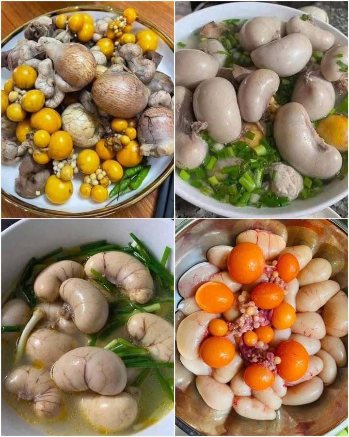 Đất nền Phố Đoàn Thị Điểm, Vĩnh Yên 113m² giá 5.35 tỷ - Đầu tư sinh lời ngay!