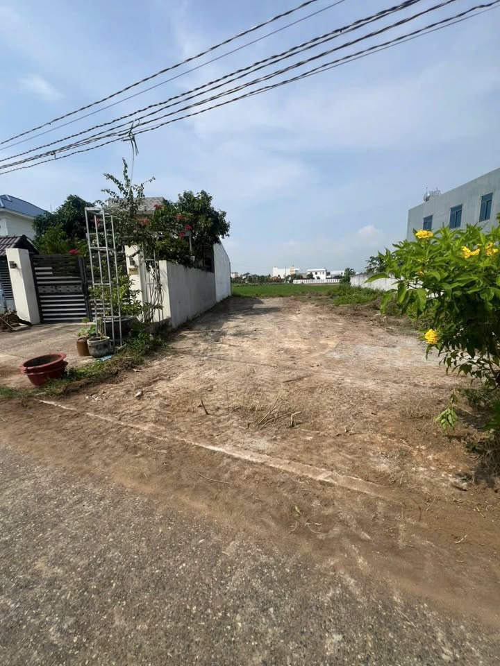 Đất nền mặt tiền Dương Bạch Mai, Long Điền 184m² giá 1.55 tỷ - Cơ hội đầu tư hấp dẫn!