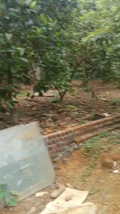 Đất nền Ba Trại, Ba Vì 261m² giá 700 triệu - Cơ hội đầu tư hiếm có!