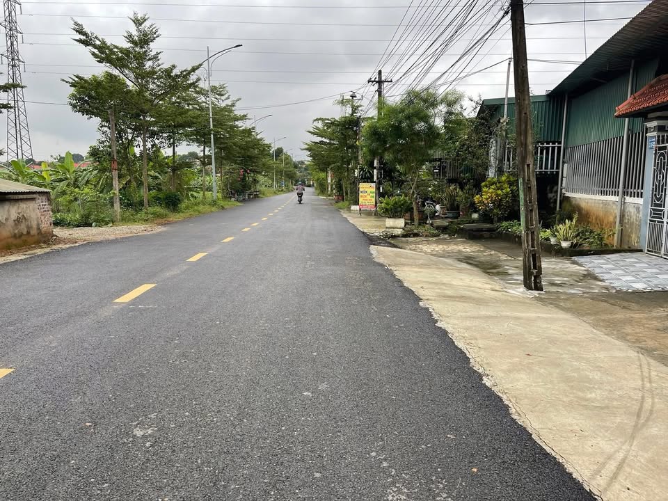 Đất nền Tỉnh lộ 316, Tam Nông 200m² - Kinh doanh thuận lợi