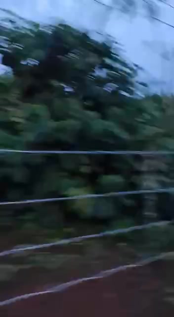 Bán rẫy tại Ia Băng - Gia Lai, 7,8ha chỉ 2,1 tỷ - Đầu tư sinh lời ngay!