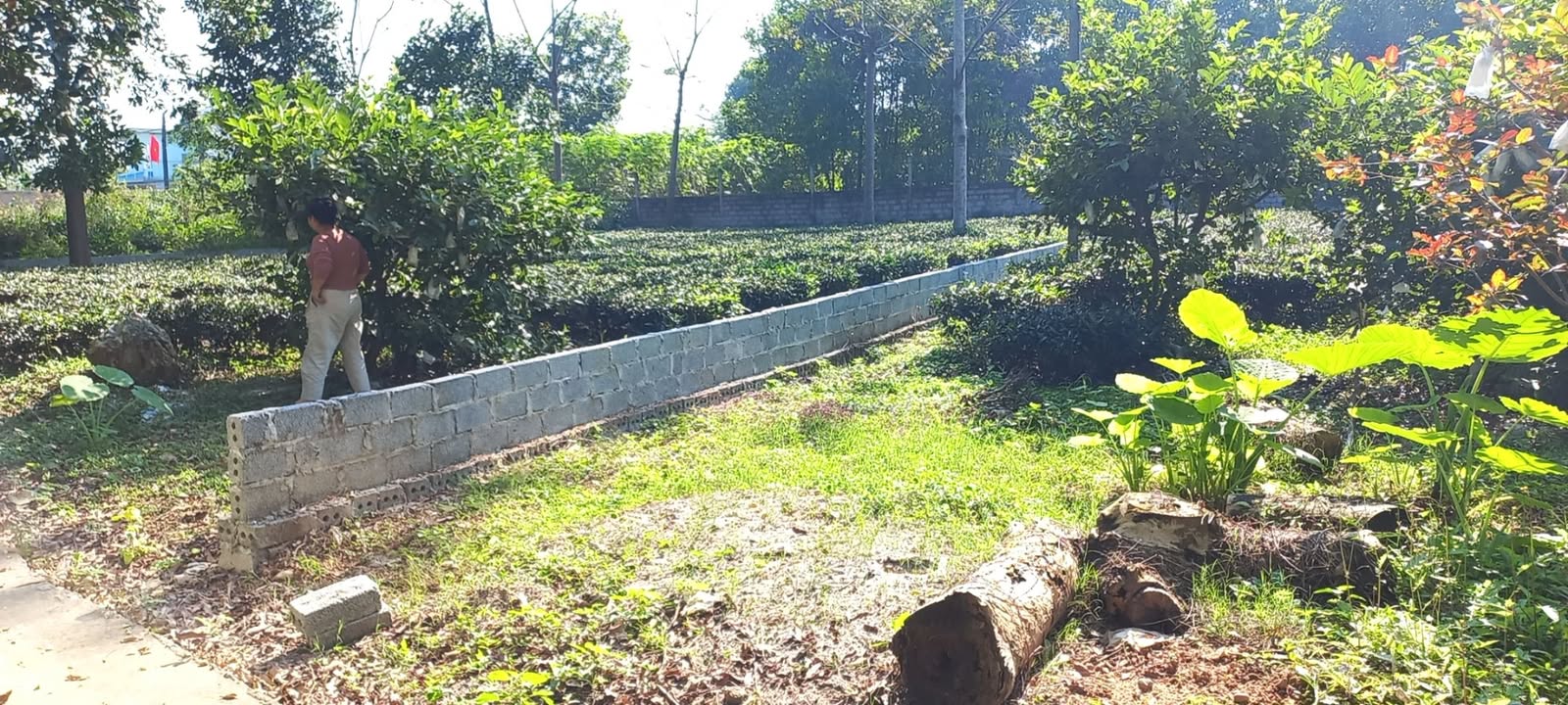 Đất thổ cư Yên Bài, Ba Vì 150m² giá thỏa thuận - Cơ hội đầu tư hiếm có!