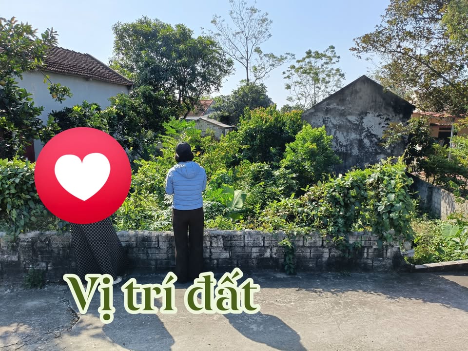 Lô đất 270m² tại thôn 3, Dân Quyền, Triệu Sơn - Giá chỉ từ 500 triệu VND!