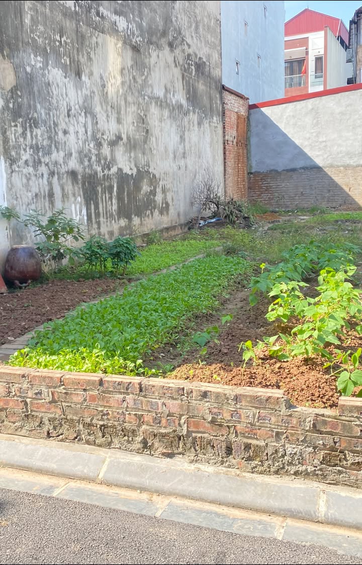 Đất nền Vĩnh Ngọc Đông Anh 59m² giá 9 tỷ - Vị trí vàng cạnh cầu Nhật Tân!