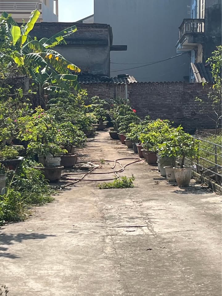 Đất nền Phú Thị Gia Lâm 50m² giá 3 tỷ - Ngõ ô tô vào tận nơi!