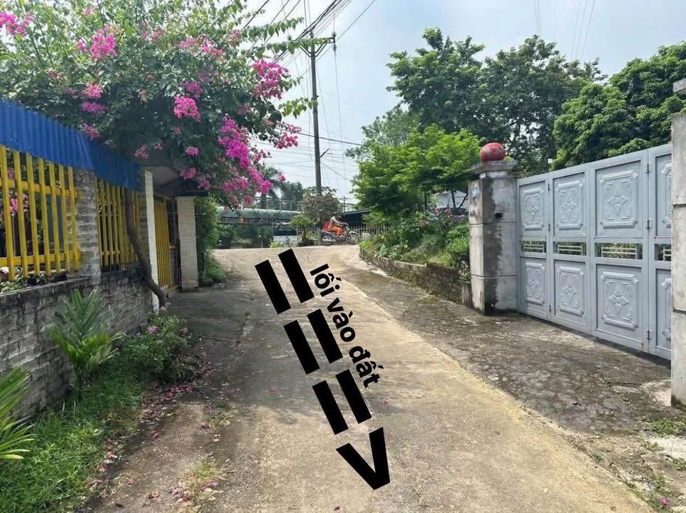 Đất thổ cư tại phường Quan Triều, Thái Nguyên - 98m² giá chỉ 700 triệu