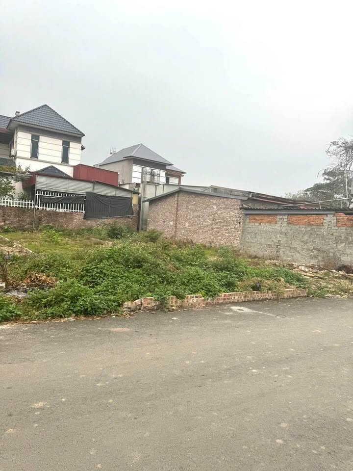 Đất nền Phúc Lai, Thanh Vân, Tam Dương 100m² giá 1.6 tỷ - Vị trí thoáng đãng, thuận tiện di chuyển!