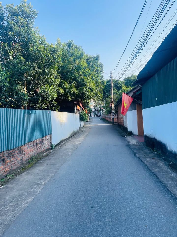 Đất nền Hán Lữ Vĩnh Yên 116.6m² giá chỉ 2x triệu - Hàng hiếm khó tìm!