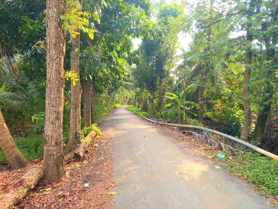 Đất nền tiềm năng tại Long Hưng 256m² giá 1 tỷ - Đầu tư sinh lời ngay!