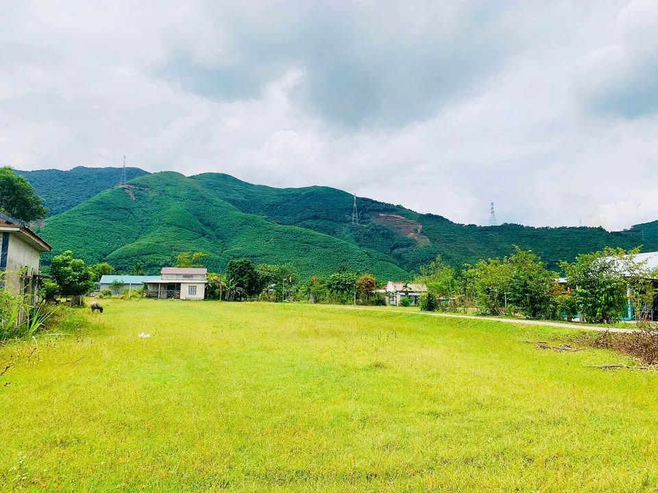 Đất nền Phong Xuân 174m² giá thỏa thuận - Thiên đường sống giữa núi rừng!