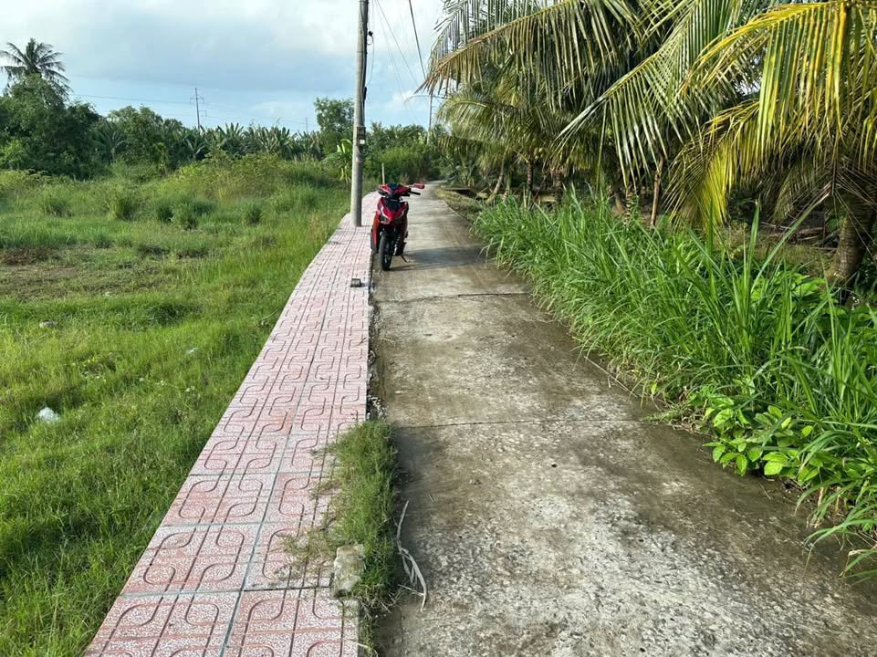 Đất nền mặt tiền Tổ 10 + 11, 150m² giá 600 triệu - Cơ hội đầu tư lý tưởng!