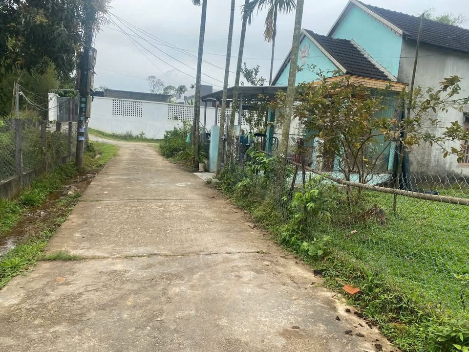 Đất An Phú, Tam Kỳ 245m² giá chỉ 7xx triệu - Cơ hội đầu tư tuyệt vời!