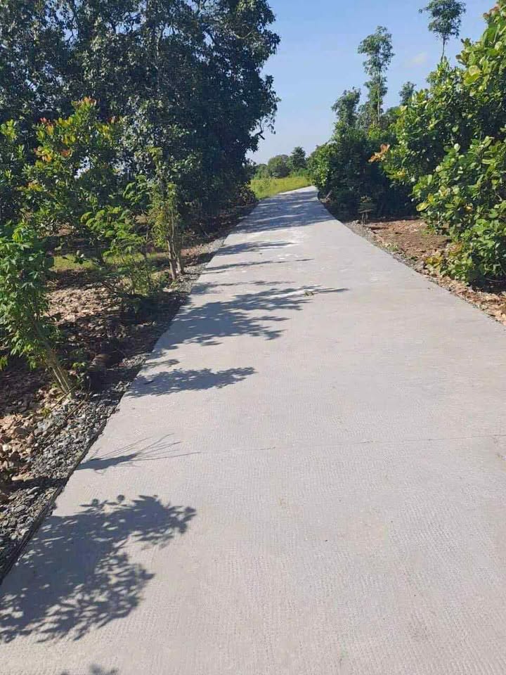 Đất nền 7000m² tại Xuân Đông, Cẩm Mỹ giá 648 triệu - Cơ hội đầu tư hấp dẫn!