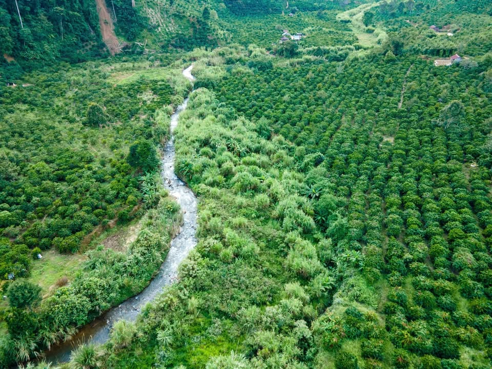 Đất nông nghiệp Sơn Điền 93.600m² giá chỉ 1.44 tỷ - Sổ đỏ chính chủ liền tay!