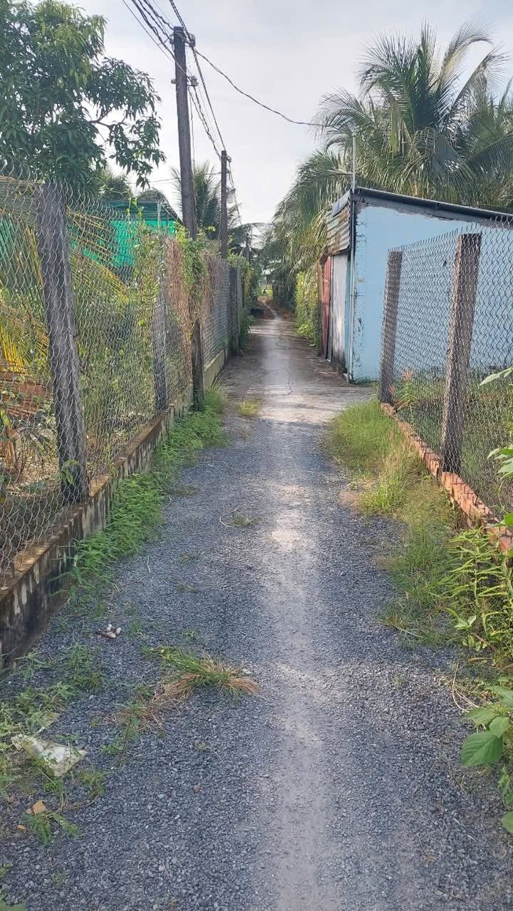 Đất lúa Khánh Hậu Tân An 1000m² giá 1.25 tỷ - Đầu tư sinh lời ngay!