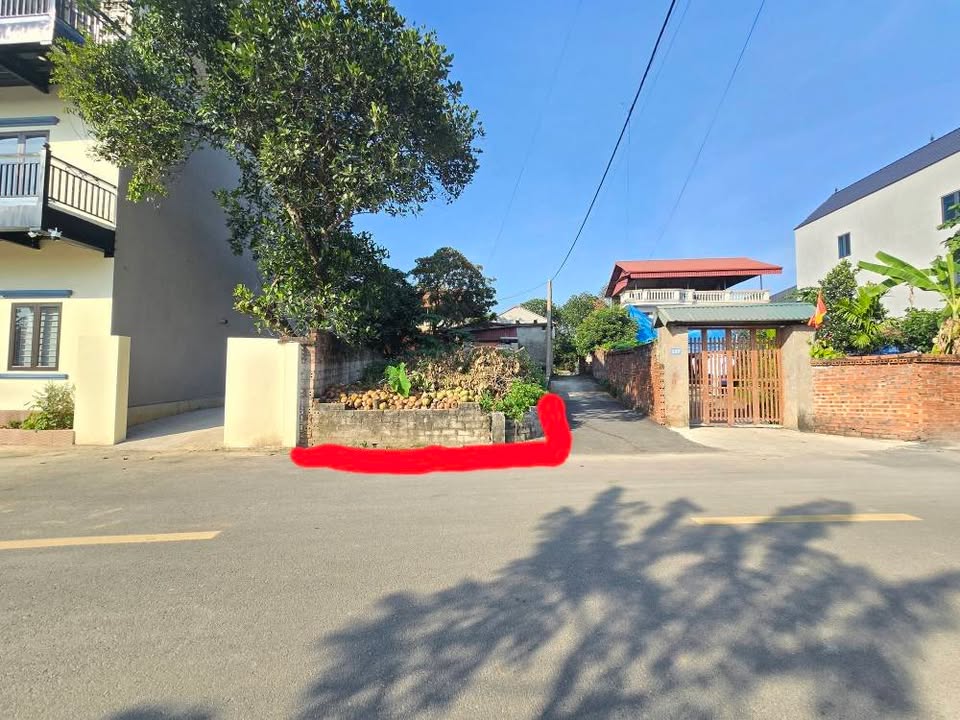 Đất nền thôn 8 Tân Xã 100m² - Vị trí đắc địa cho kinh doanh