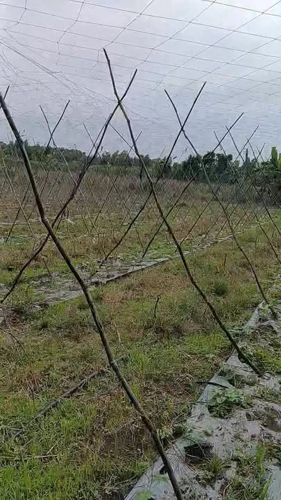 Đất nền ấp Hưng Bình, Trảng Bom 13424m² giá 5.364 tỷ - Sổ đỏ chính chủ ngay đường nhựa