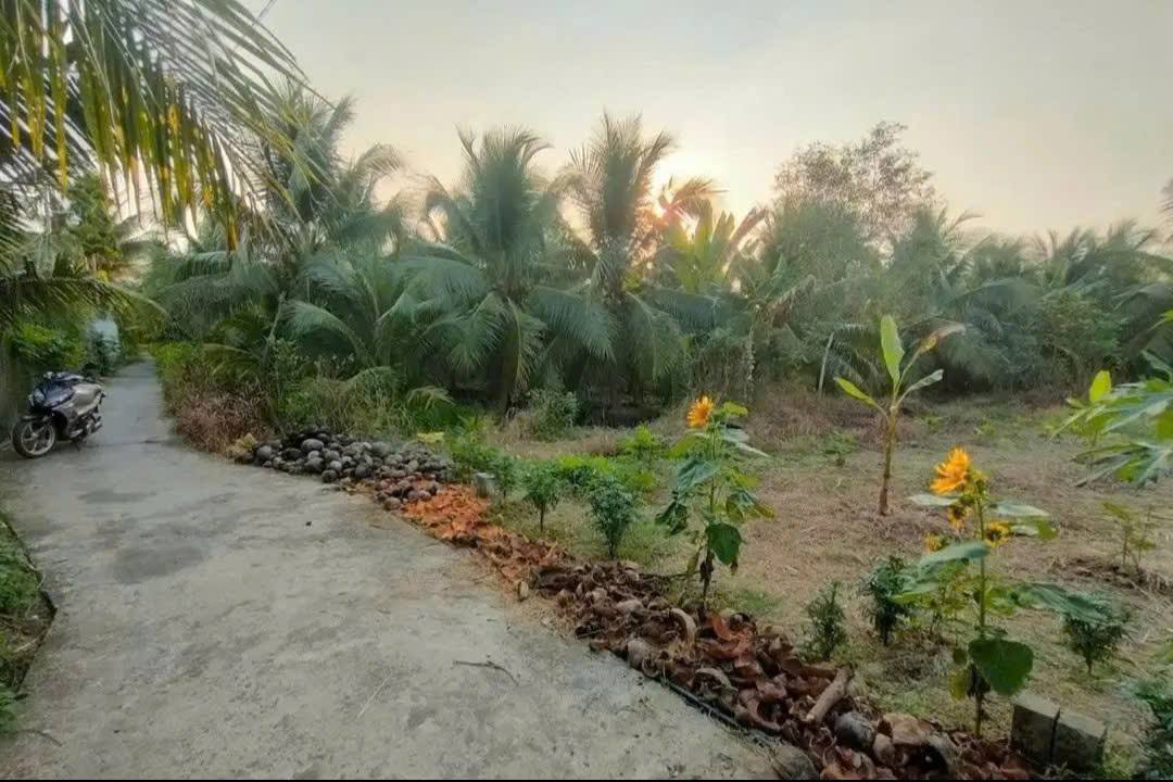 Đất nền thổ cư An Hội, Bến Tre 102m² giá 450 triệu - Cơ hội đầu tư hấp dẫn!