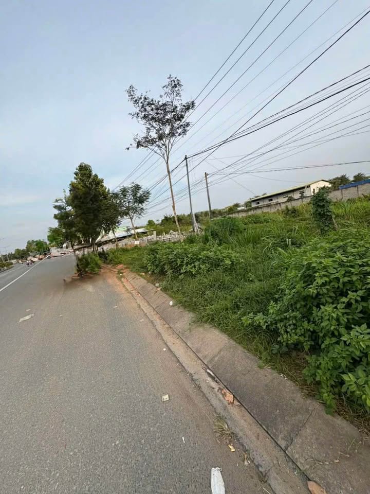 Đất mặt tiền 64m đường Huỳnh Tấn Phát, TP Bến Tre 3107m² - Cơ hội đầu tư hấp dẫn!