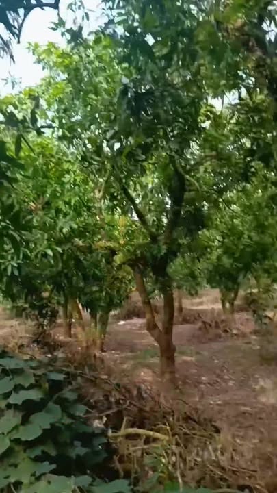 Đất nền La Ngà, Định Quán 3600m² giá 560 triệu - Sổ hồng riêng, đầu tư sinh lời!